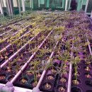 (주)애그리비즈니스 이미지