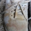 운동화 세탁 전문점 이미지