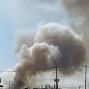 주식회사 다발로 이미지