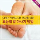 발맛사지 Daum카페