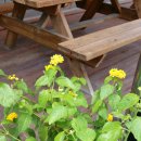 부흥회식당 이미지