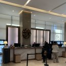 (주)호텔롯데 롯데시티호텔대전 | 대전 숙소 추천 롯데시티호텔 스탠다드 더블 시티뷰 후기 (feat.크리스마스🎄)