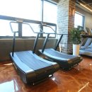 머슬베어짐 이미지