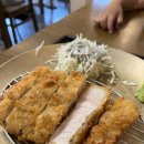 경주 호랑이카츠 / 황리단길 맛집 아이랑 다녀왔어요! 내돈내산 리얼 후기