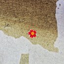 석남사주차장 | 단풍보러 석남사 다녀온 후기 ⛰️(2025.11.08)