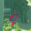 일상) 조용하지만 물욕이 가득한 일상