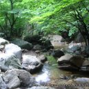 강당골 Daum카페