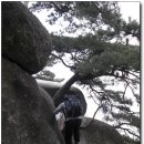 (주)한아아이티 이미지