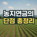[일원3] 신중년이 꼭 알아야 할 증여&상속&연금제도 | 농지연금의 단점 총정리! 가입 전에 꼭 알아야 할 3가지 리스크