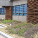 삼덕청아람경로당 이미지