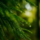 오목한의원 이미지