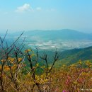 용은산 네이버블로그