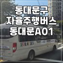 미래정보 | 동대문구 자율주행버스 동대문A01 이용 후기!! 노선 정보 미래교통 탑승 후기 요금 무료