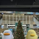 태산반점 | [대구 1박 2일] 대구 현지인 맛집•카페 추천 | 태산만두•카페마리•중화반점