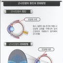 내마음에 든 안경 이미지