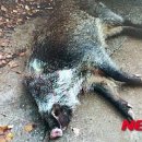 의령병원 이미지