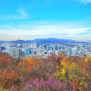 남산 이미지