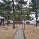 동호솔숲 | 히노끼탕이 있는 바다코앞 트리플펜션&amp;글램핑 솔숲4 내돈내산 이용후기(장단점/주차/시설/취사도구/바베큐)