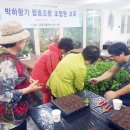 박하향기협동조합 경남연합일보