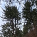 유월2리마을회관 | 평해길 제10길 솔치길-원주시 지정면에서 양평군 양동역까지 힐링로드를 걸으면서 양동면의 아름다움에...