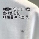 H7677 이미지