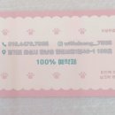 위드댕댕 이미지