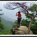 와부읍 팔당2리 이미지