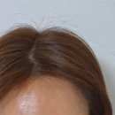 성태인 헤어 이미지