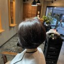 달보드레미장원