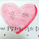 낙동생오리 이미지