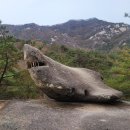 【제496차 정기산행】 영동 천태산(714.7m) 4/4(토) 이미지