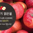 썬샤인 농원 이미지