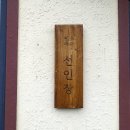 선인장여관 이미지
