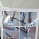 지성미용실 - 영도구 청학동로 38 | 울산남구미용실 더채움헤어 지성두피 헤드스파 후기 💆‍♀️✨