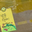 디자인매인주 | 2026년의 4월