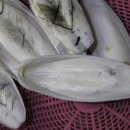 토종건강원 이미지