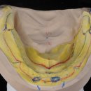 손치과기공소 이미지