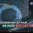 온씨씨티비