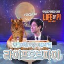 아트센타 앞 지하보도 | 라이프오브파이 서울 뮤지컬 내돈내산 후기 박정민 박강현 캐스팅 GS아트센터