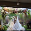 행진ing 노래연습장 | 일상 / 결혼준비 / 돈펑펑쓰기 / 제일재밌다 / 드디어 결혼식 / 내결혼식 / 잘살아보자 / 오열신부(입장...