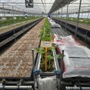 원원농장 이미지