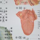 에스엠sm간호학원