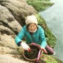 봄날오다 이미지