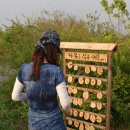 나무고아원 이미지