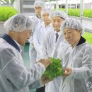 농심농장 이미지