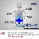 코어요가 이미지