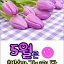 황금일번지 Daum카페