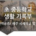 솔루션(SOLUTION) 번역행정사 이미지