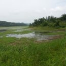 비들지낚시터 이미지