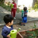 해뜨는유치원 이미지